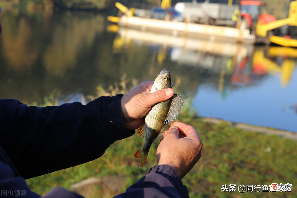 鲫鱼的三种钓法 钓鲫鱼的钓法