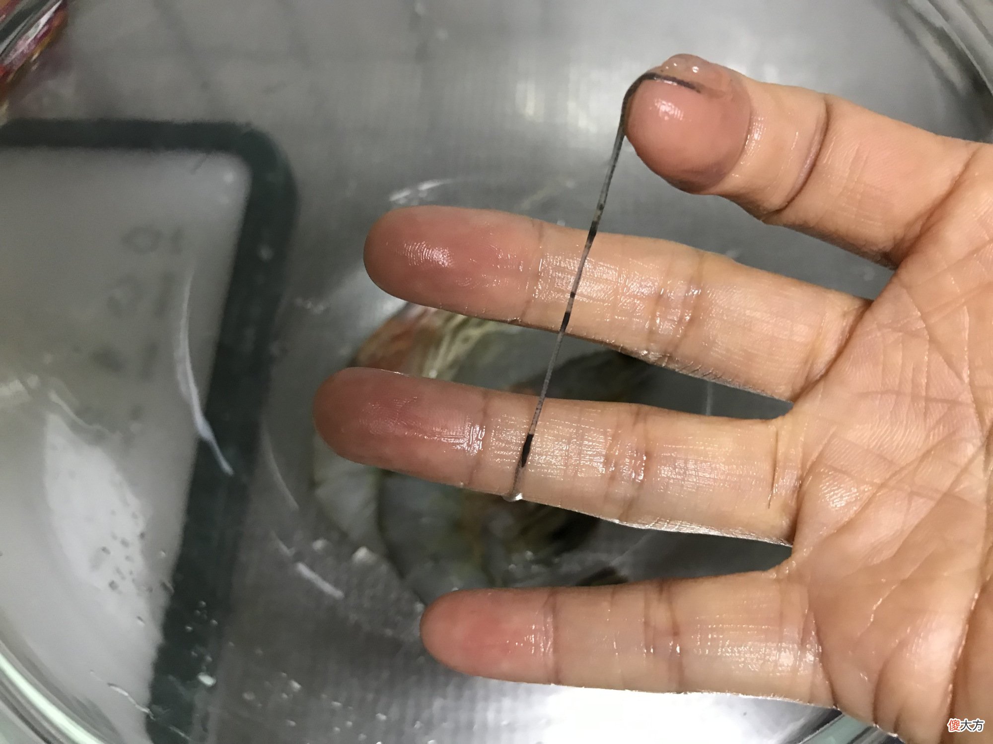 蛋白质含量是牛奶10倍 牛奶中的蛋白质含量