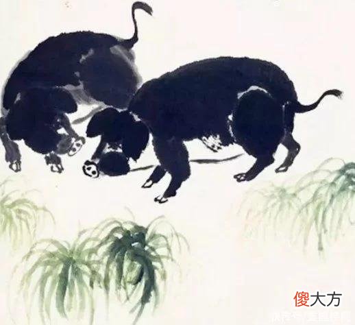 【星座控】今年初穷，年中顺利致富的生肖，实现飞跃，不再被人瞧不起