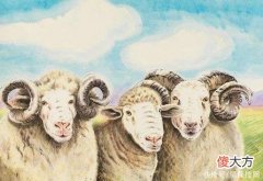 【星座控】2022年手气极佳，大小收获都不断的生肖，不再是穷人