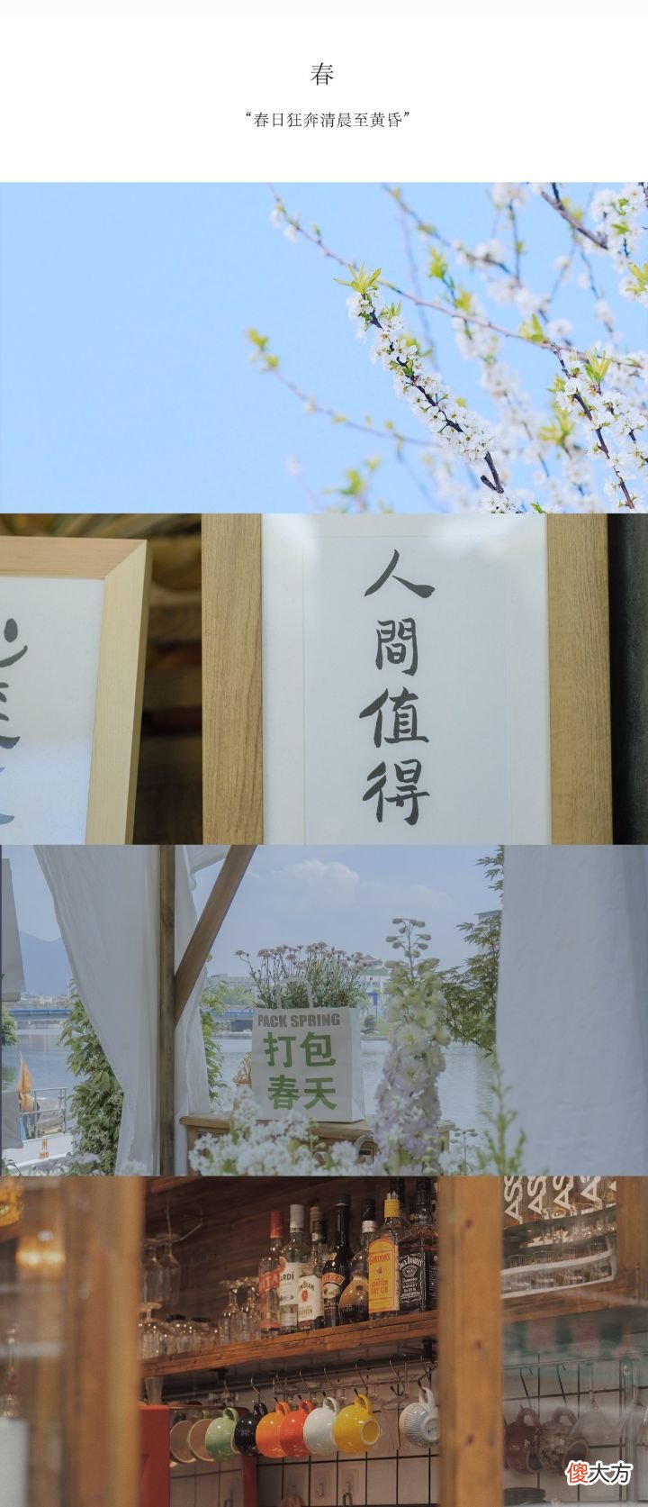 将手机高素质屏幕发挥实力的好壁纸 将手机屏幕发挥到极致的壁纸