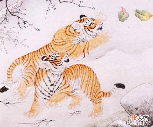 【星座控】中年大器晚成，未来越来越好的生肖，和钱作伴大半生