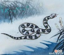 【星座控】中年大器晚成，未来越来越好的生肖，和钱作伴大半生
