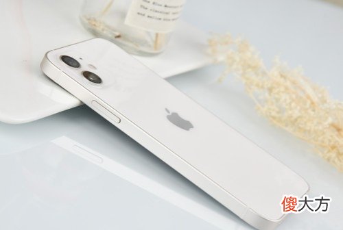 无论产品型号再多，苹果依旧是多数用户高端机型的首选