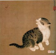 中国人为何不吃猫肉 为什么中国人基本上不吃猫肉