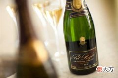 葡萄酒口感最好的年龄 葡萄酒品尝全解析图