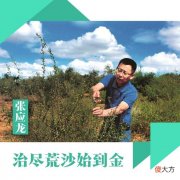 【爱历史】张应龙 治尽荒沙始到金