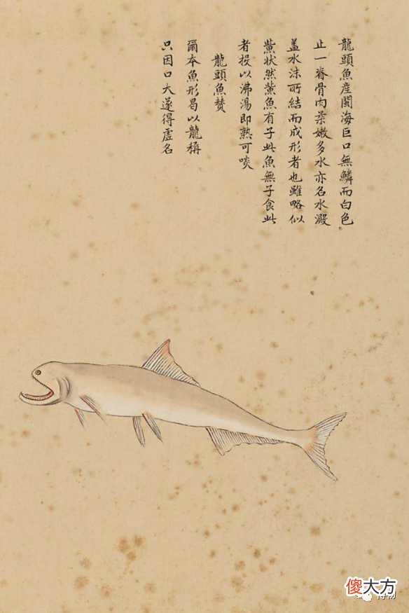 长得凶有什么用？还不是香软似豆腐
