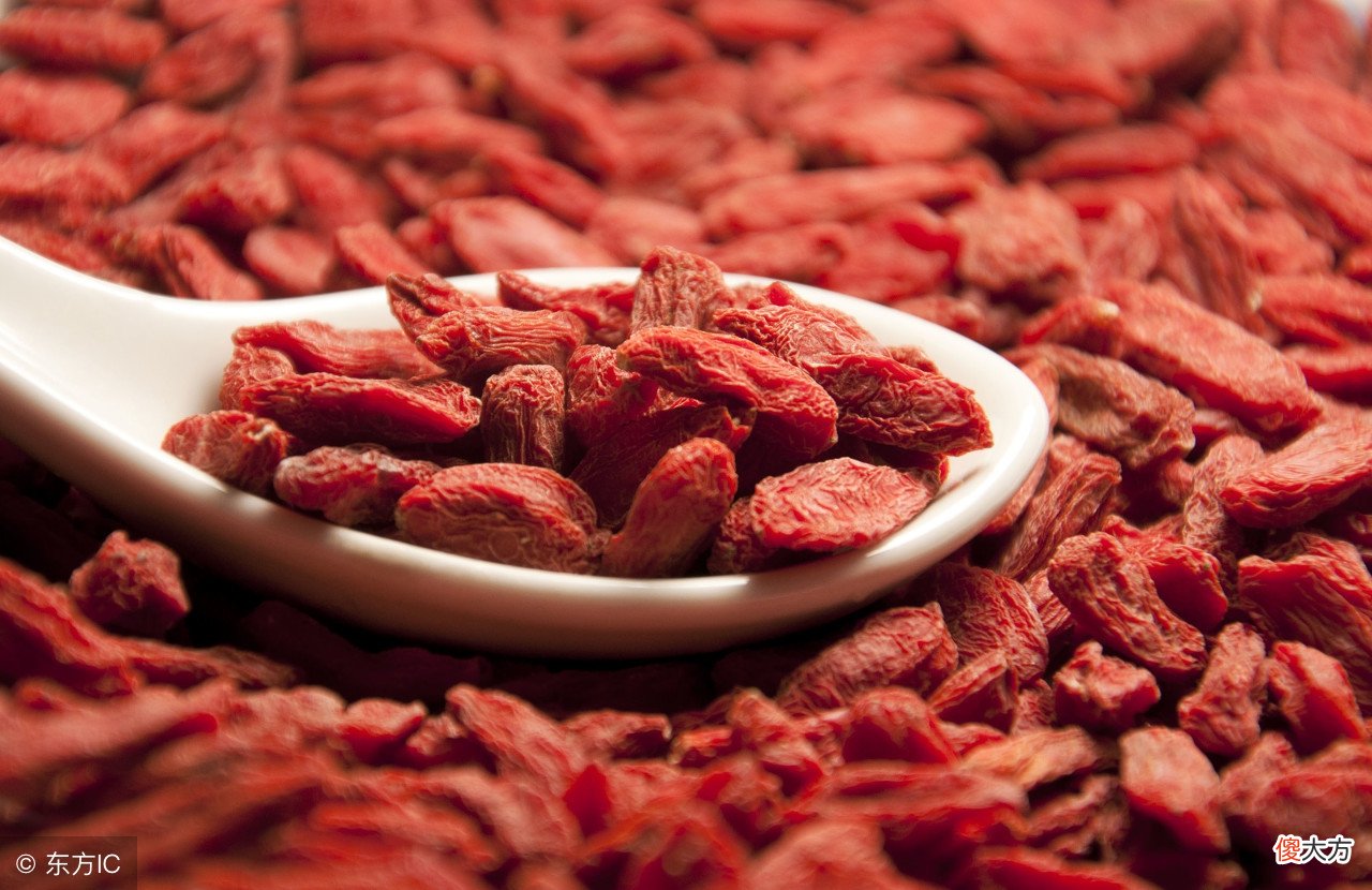 枸杞怎么吃能发挥最大功效 枸杞怎么吃有作用