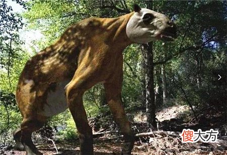 神农架发现凶残不明生物,驴头狼身,专家:是史前猛兽!