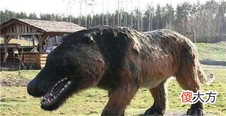 神农架发现凶残不明生物,驴头狼身,专家:是史前猛兽!