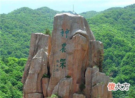 神农架发现凶残不明生物,驴头狼身,专家:是史前猛兽!
