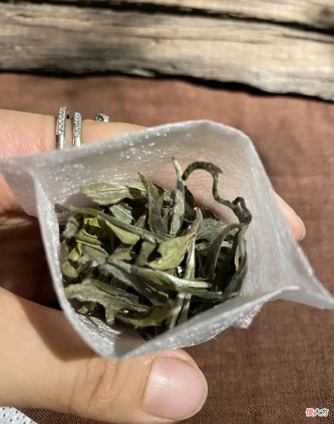 荷花全身都是宝 荷花全身都是宝有哪些