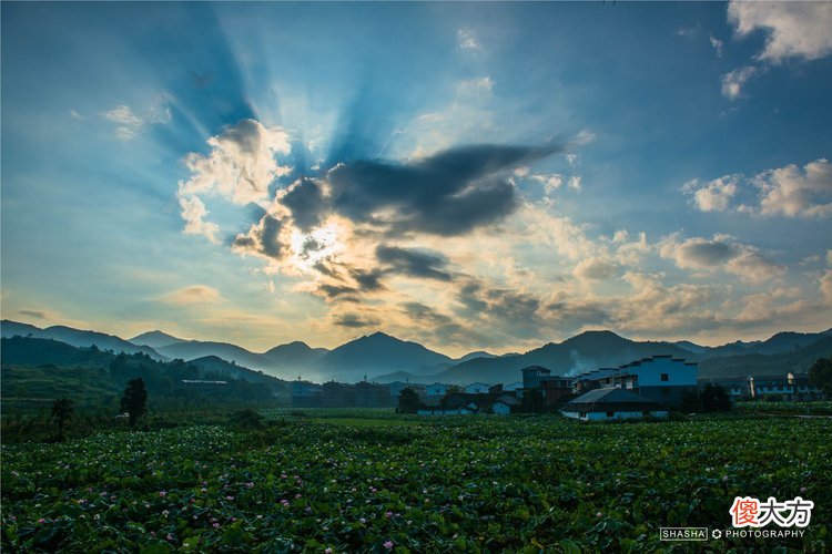 满满夏天的味道 满满初夏的味道