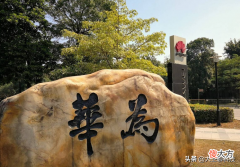 国产新机发布 国产新机发布时间