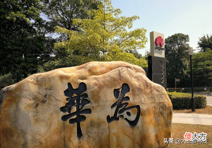 国产新机发布 国产新机发布时间
