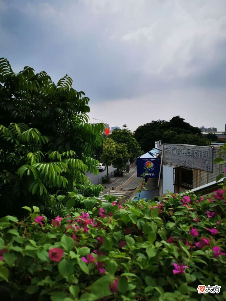 原来苹果和华为差距这么大 华为与苹果差距
