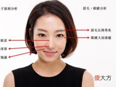 详细分析男人面相浓眉有何影响