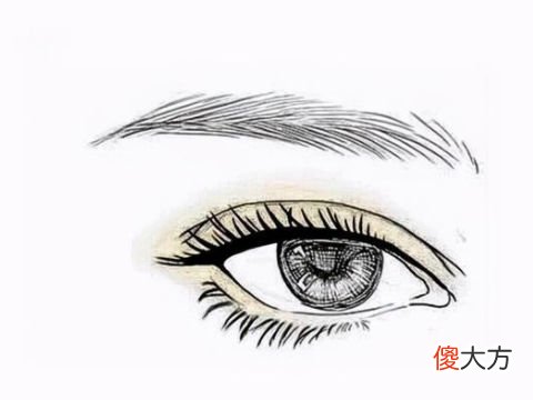 眼睛大的女孩面相看性格特点如何