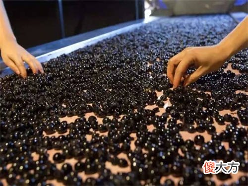 白葡萄酒品种霞多丽 霞多丽干白葡萄酒的特点