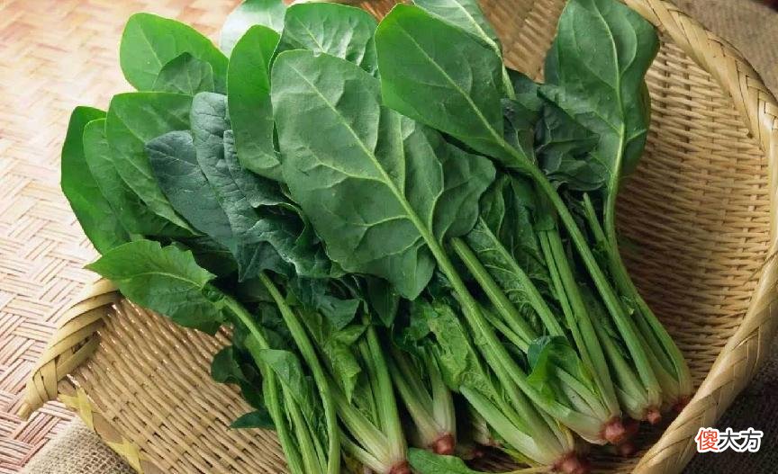 牛肉是身高“加速器”？好心提醒：4种食物是“长高王”，敞开吃助发育