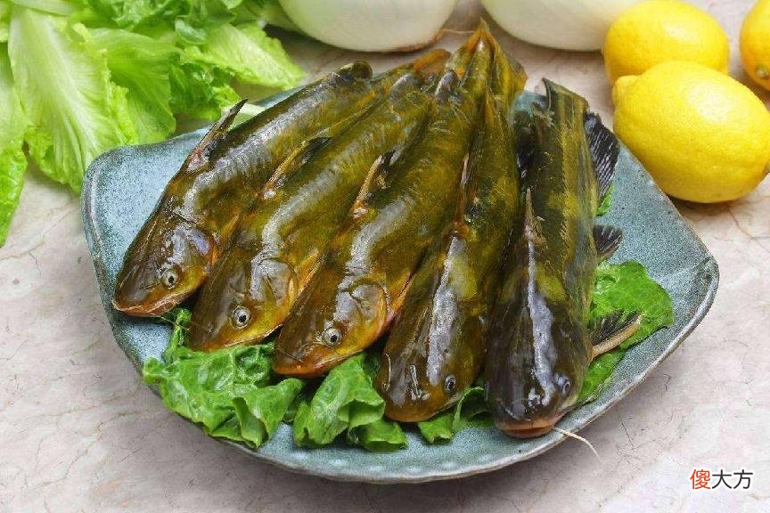 牛肉是身高“加速器”？好心提醒：4种食物是“长高王”，敞开吃助发育