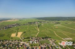 红葡萄酒怎么调才能好喝 红葡萄酒的搭配