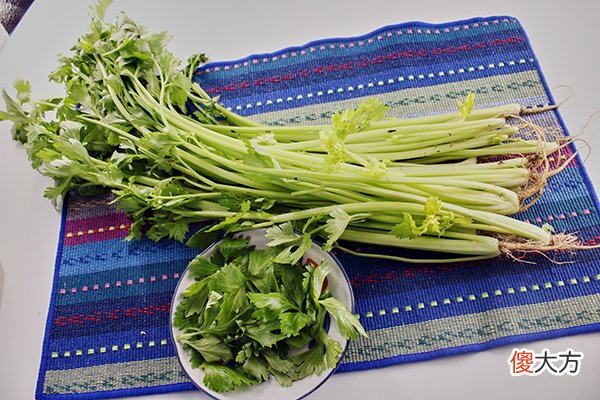 每天坚持喝芹菜汁 每天坚持喝芹菜汁有什么好处