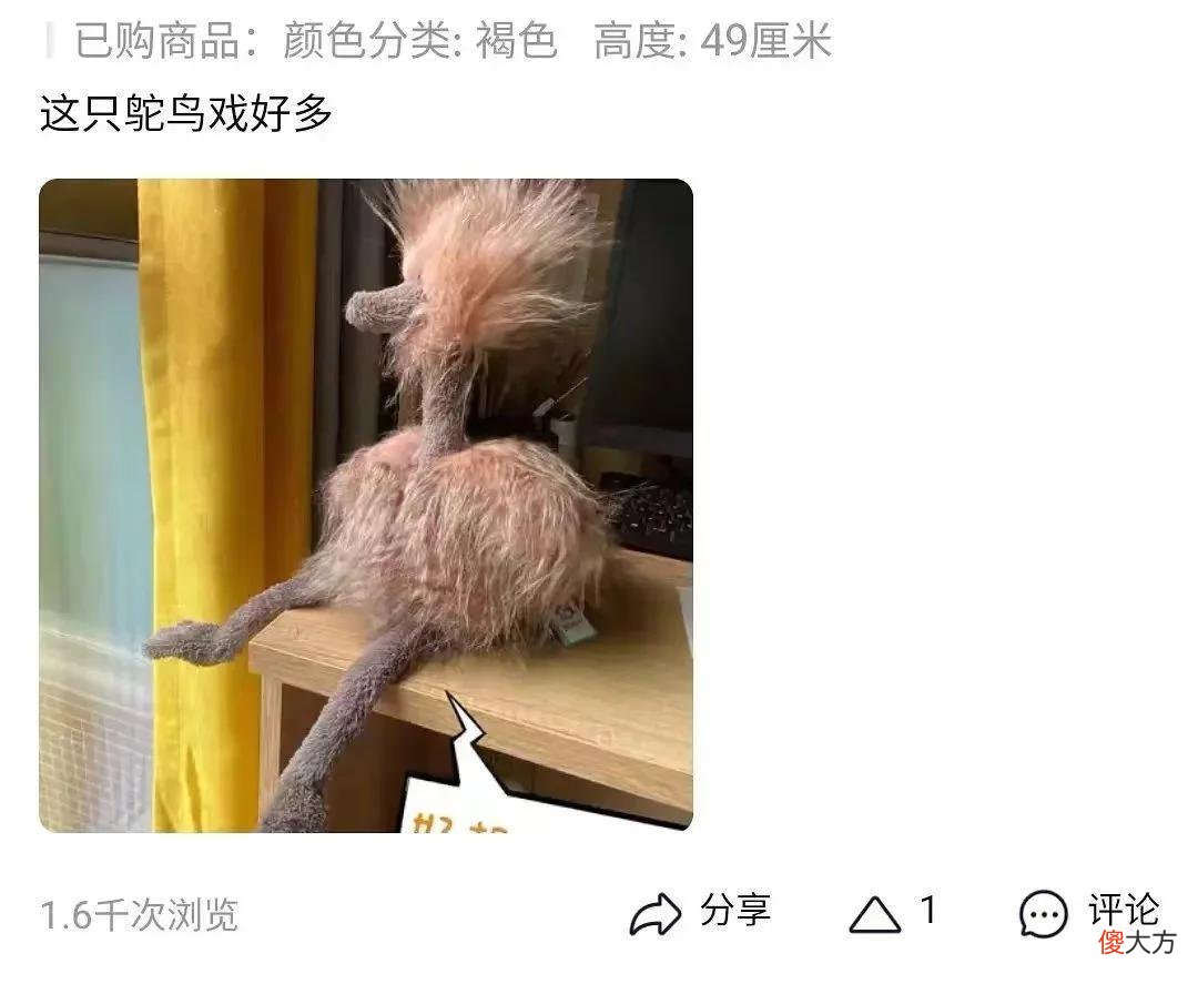 【时尚一点】有吵到我的眼睛 | 某宝奇遇记