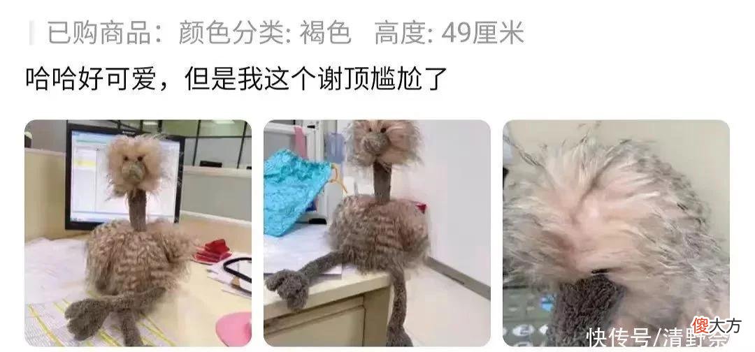 【时尚一点】有吵到我的眼睛 | 某宝奇遇记