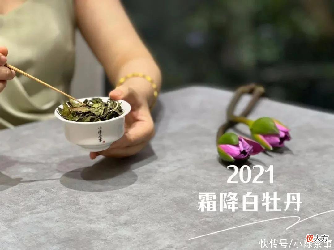 【时尚一点】买盖碗别只挑好看的！帮你总结3个盖碗的选购指南，便宜又实用