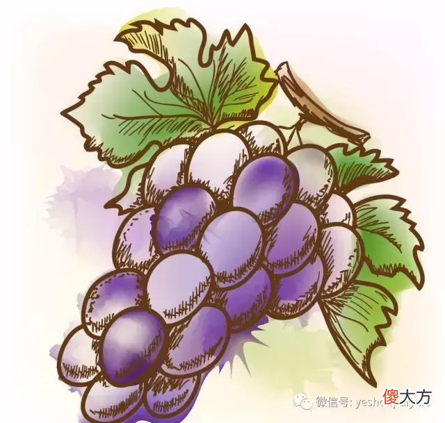 快来看大S的新文身，你被丑到了吗？