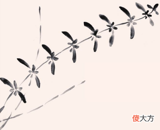水草的4种画法 各种水草的画法