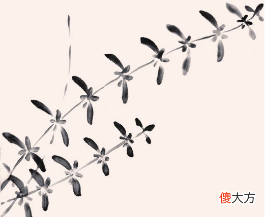 水草的4种画法 各种水草的画法
