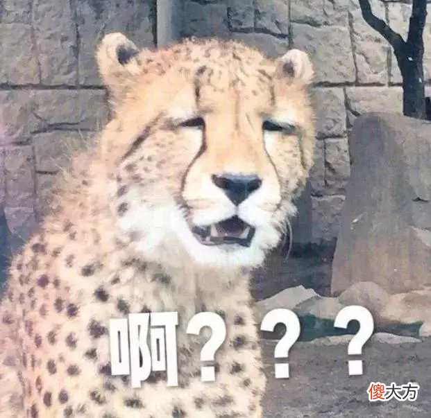 明星们为什么蜂拥代言辣鸡游戏 为什么很多明星代言垃圾游戏
