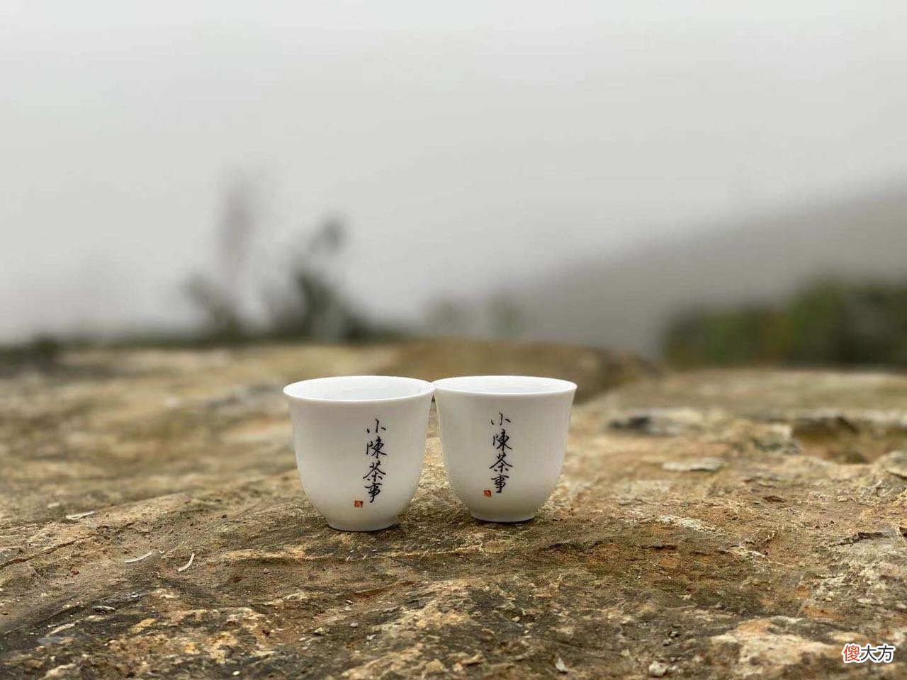 没发霉能继续喝吗 过期的茶没有发霉可以喝吗