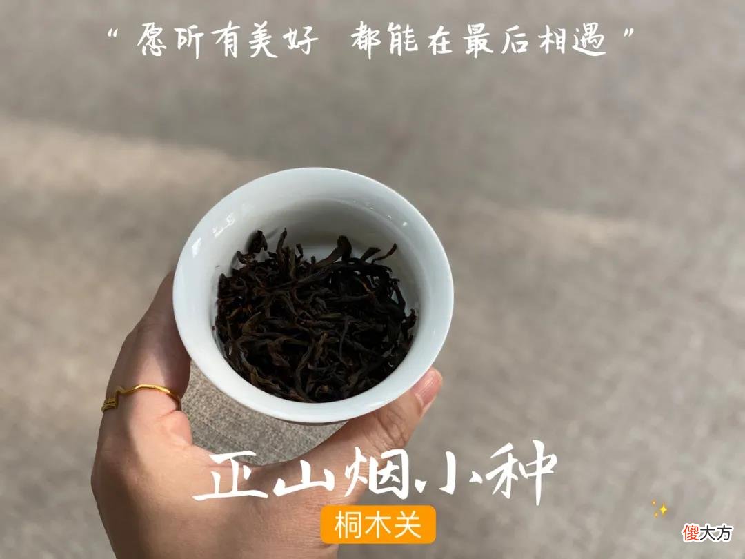 没发霉能继续喝吗 过期的茶没有发霉可以喝吗