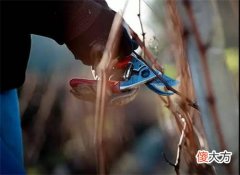 全国红酒代理商 南京酒价格