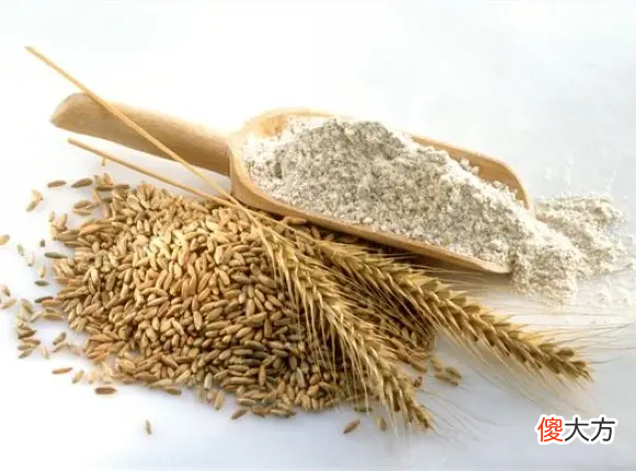 这10种保质期超长的食材 什么食材保质期最长