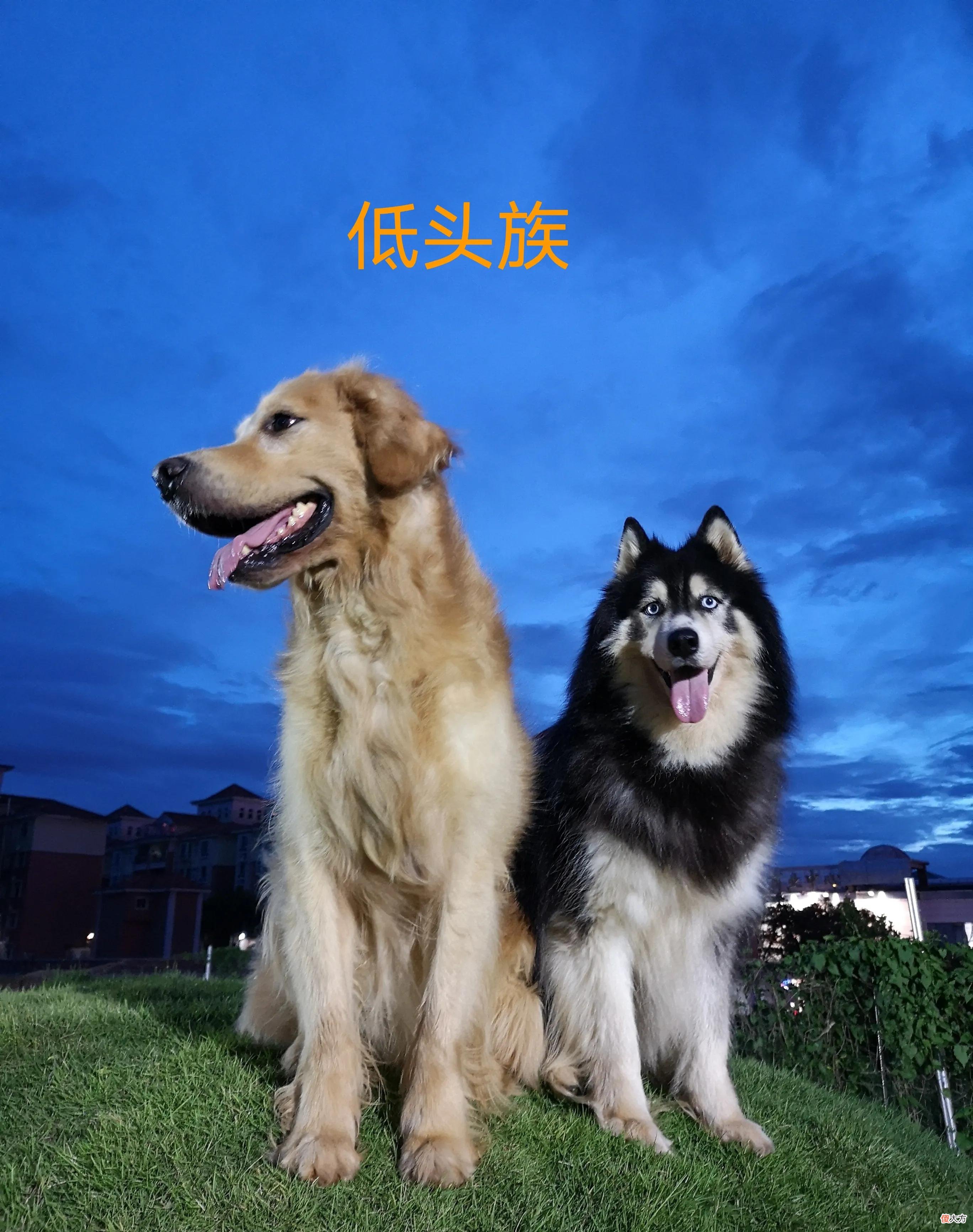 家庭成员之间的定位 位置家庭成员