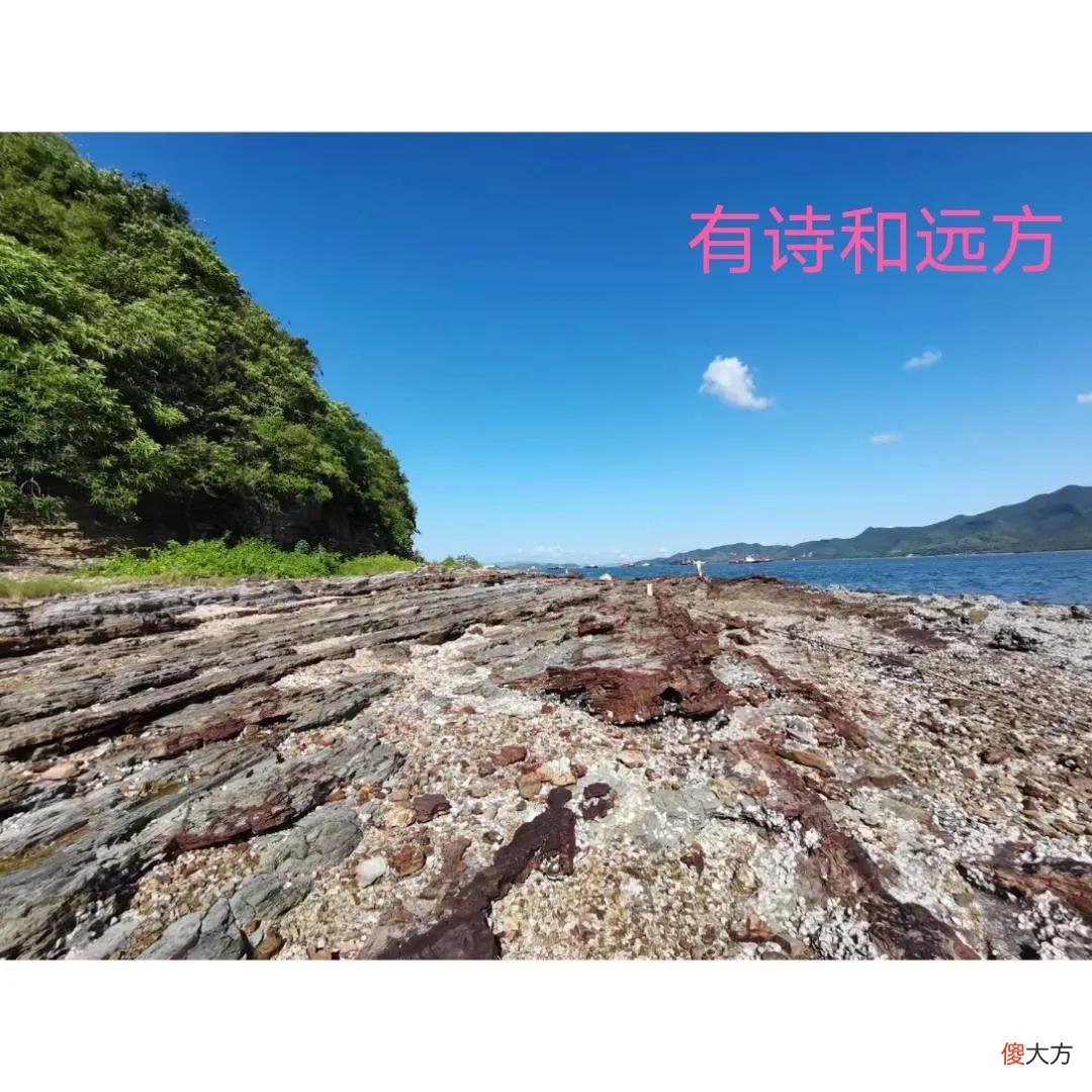 家庭成员之间的定位 位置家庭成员
