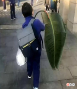 老师布置了带一片树叶写拼音的作业 一片树叶拼音怎么写的