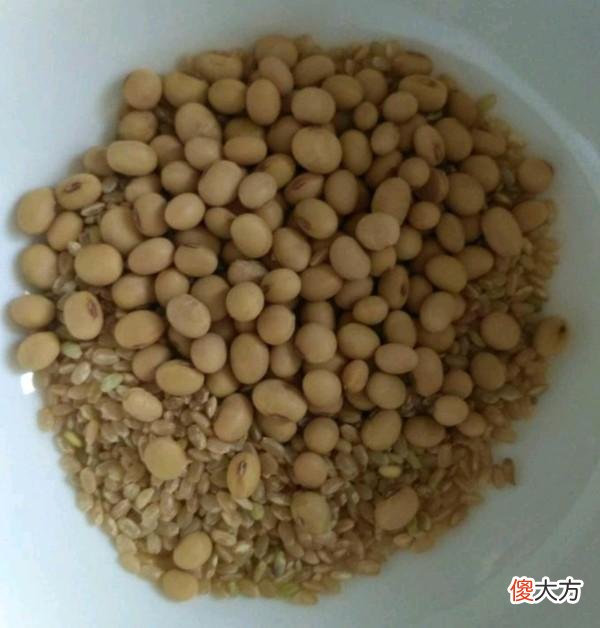 白酒最怕的饮料 白酒最怕的是什么