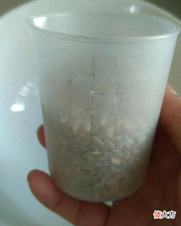 白酒最怕的饮料 白酒最怕的是什么