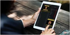 iPort让iPad的存在更加完美