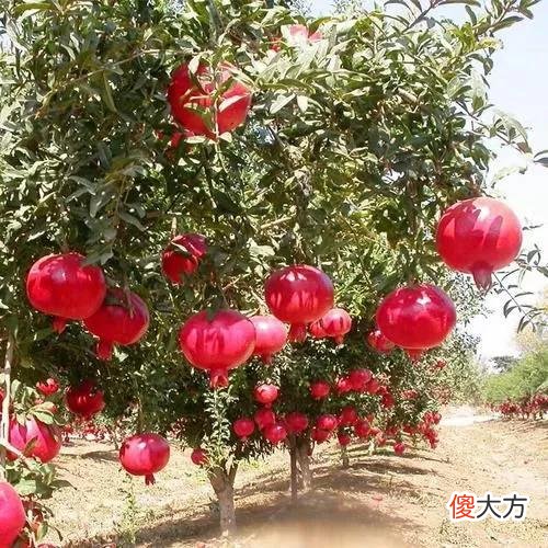 河西走廊见证了中国几千年的历史文明