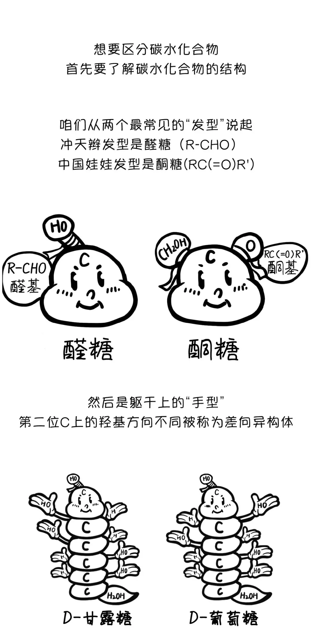 碳水化合物的分类与命名 碳水化合物的名称