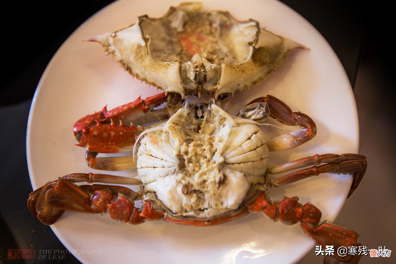 浙江慈溪朋友请我吃海鲜大餐，上来一盘臭臭的菜，我犹豫不敢下筷