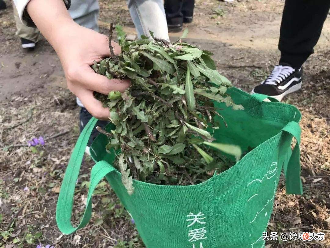 健身减脂不妨勤吃这6种食物 适合健身减脂吃的食物