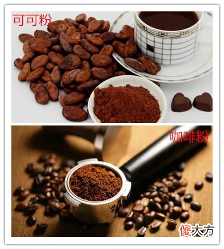 可可豆和咖啡豆是亲戚吗 可可豆和咖啡豆是一回事吗